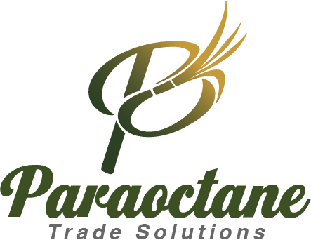 Paraoctane logo